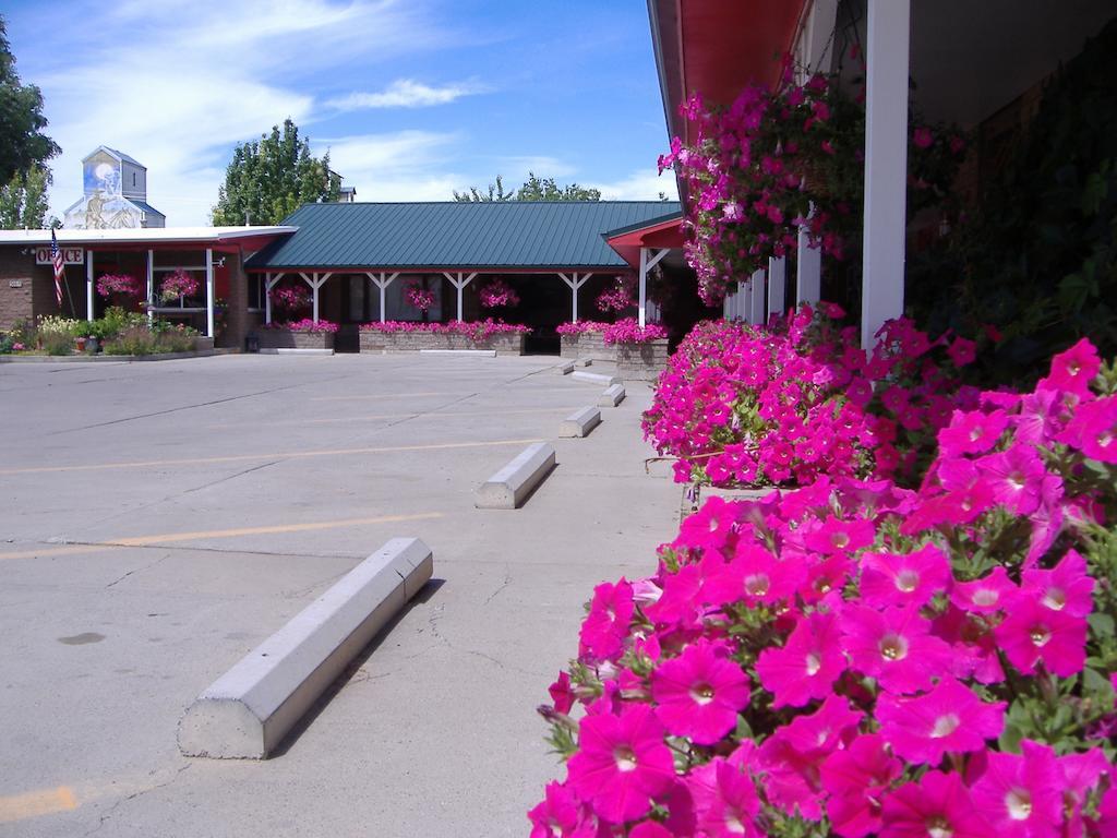 Greybull Motel Exterior photo